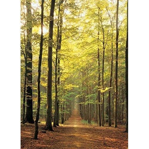 Eurographics - Chemin de la forêt (Jigsaw Puzzle 1000 pièces)