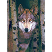 Eurographics - Gray Wolf (1000-Piece Puzzle)