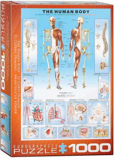 Eurographics - Le corps humain (Jigsaw Puzzle 1000 pièces)
