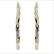 Exaggerated Simple Golden & Silver Colors Female Earrings