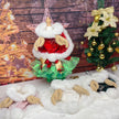 Reindeer Holiday Dog Cloak | Christmas Occasion Dog Outfit