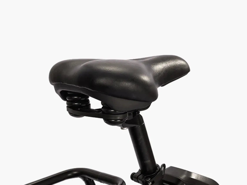 Ambition Fat Tire Elite Step-Thru 500W eBike (F27e) | 32 Km/hr Top Speed | 120 Km Range