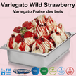 Wild Strawberry Sundae Dessert Topping - 3 KG Bucket - Wild Strawberry Variegate - Rubicone Canada - Ships Free Within Canada on Orders Above CAD $199