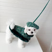Evergreen Heritage Tweed Dog Harness Set | Harness Hat and Leash Outfit