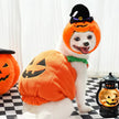 Pumpkin Dog Halloween Costume | Dog Costume for Halloween