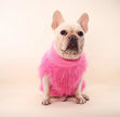 BlushCloud Fuzzy Dog Sweater | Cozy Plush Dog Sweater