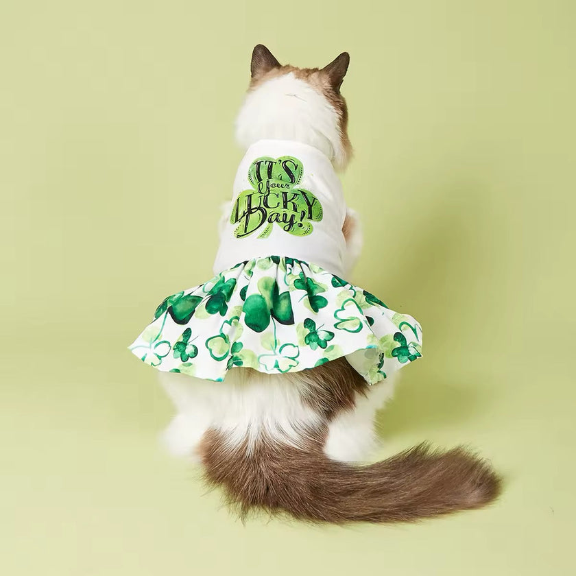 It’s Your Lucky Day Dress – Saint Patrick’s Day Dog Dress