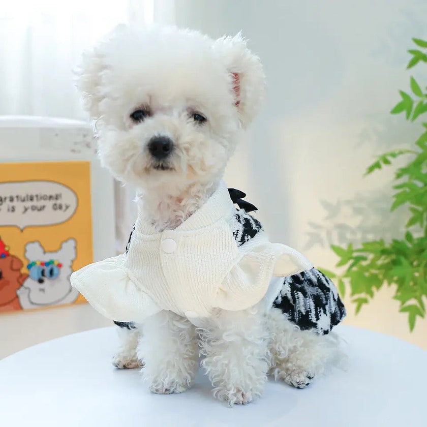 Mademoiselle Tweed Dog Dress | Pet Fashion Dress