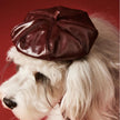 Monsieur Dog Hat | Dog Beret Hat