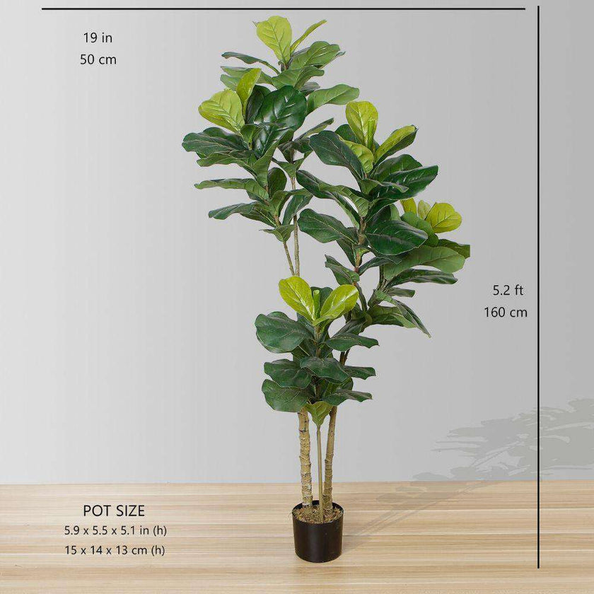 Fafa Artificial Fiddle Leaf Potted Plant (Multiple Sizes)