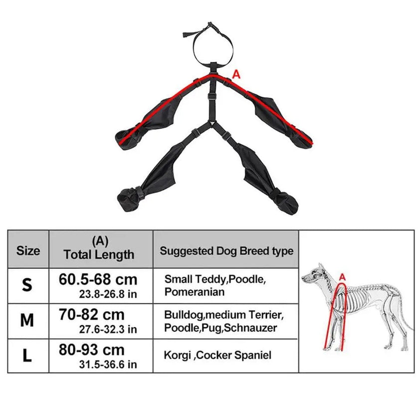 Dog Boots | Protective Paw Boots for Dogs