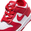 Y Nike Dunk Low FB9107-119