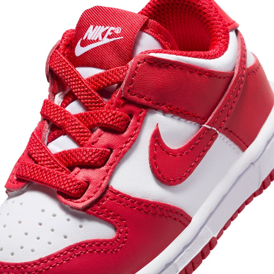 Y Nike Dunk Low FB9107-119