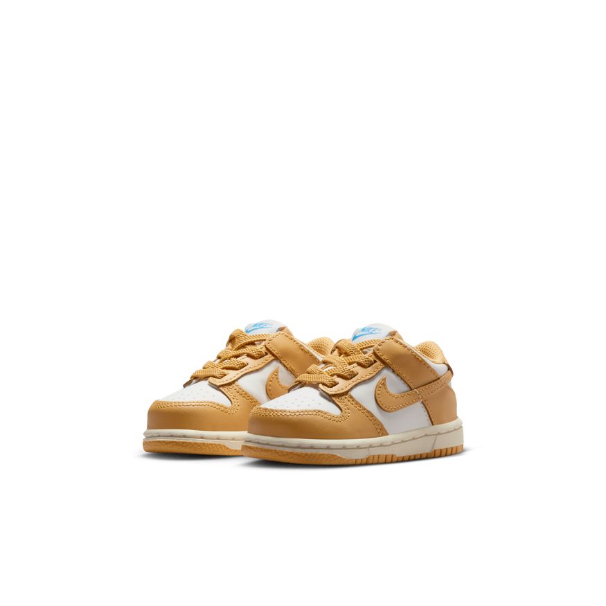 Nike Dunk Low FB9107-700