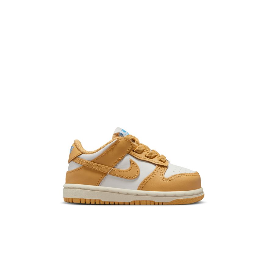 Nike Dunk Low FB9107-700