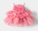 Roseabelle Garden Dog Dress | Elegant Occasion Dog Dress