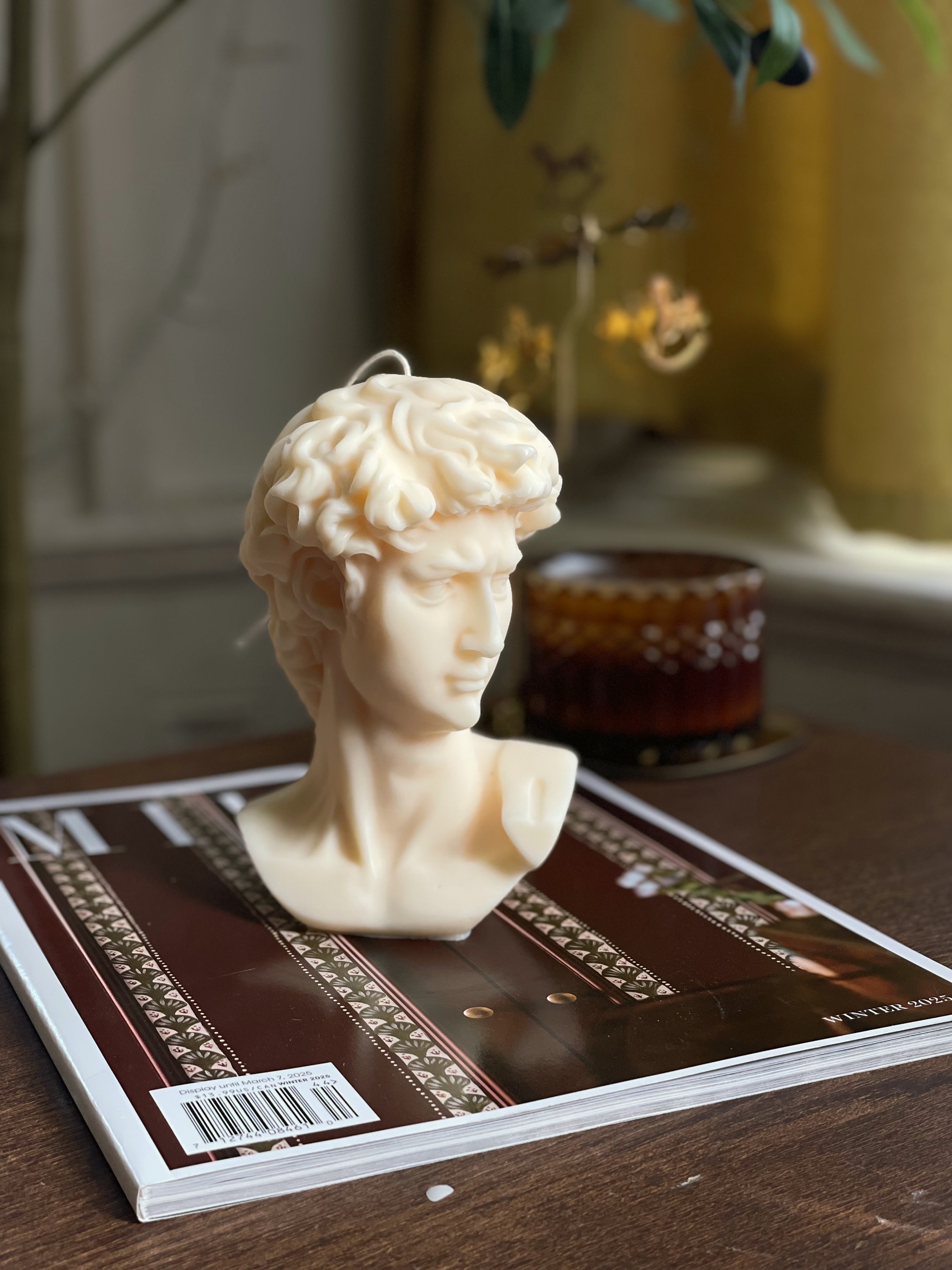 David Bust
