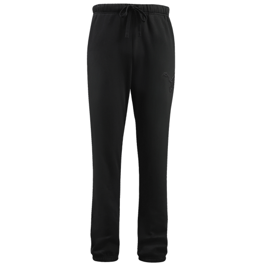 Pantalon de survêtement neutre pour homme, Detroit Lions NFL, FDL445307-BLK