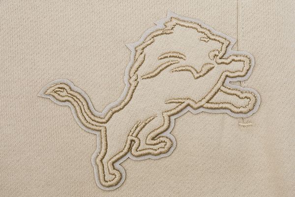 Pantalon de survêtement Detroit Lions Neutral FLC