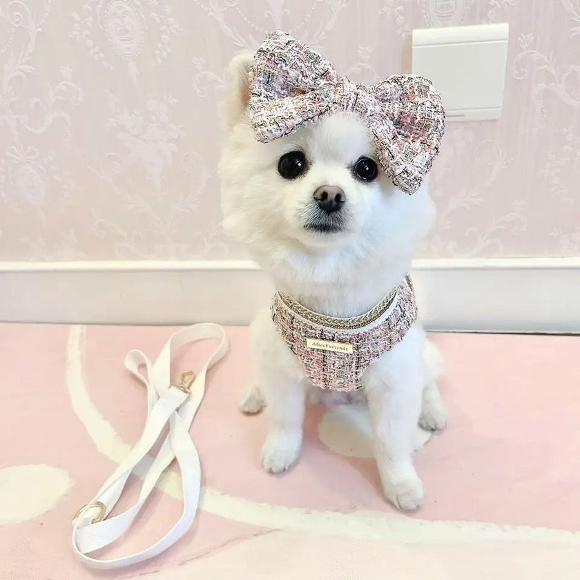 Dog Harness & Leash Set | Isabella Tweed Bow Walking Set