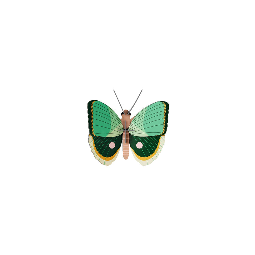 Fern Striped Butterfly
