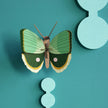 Fern Striped Butterfly