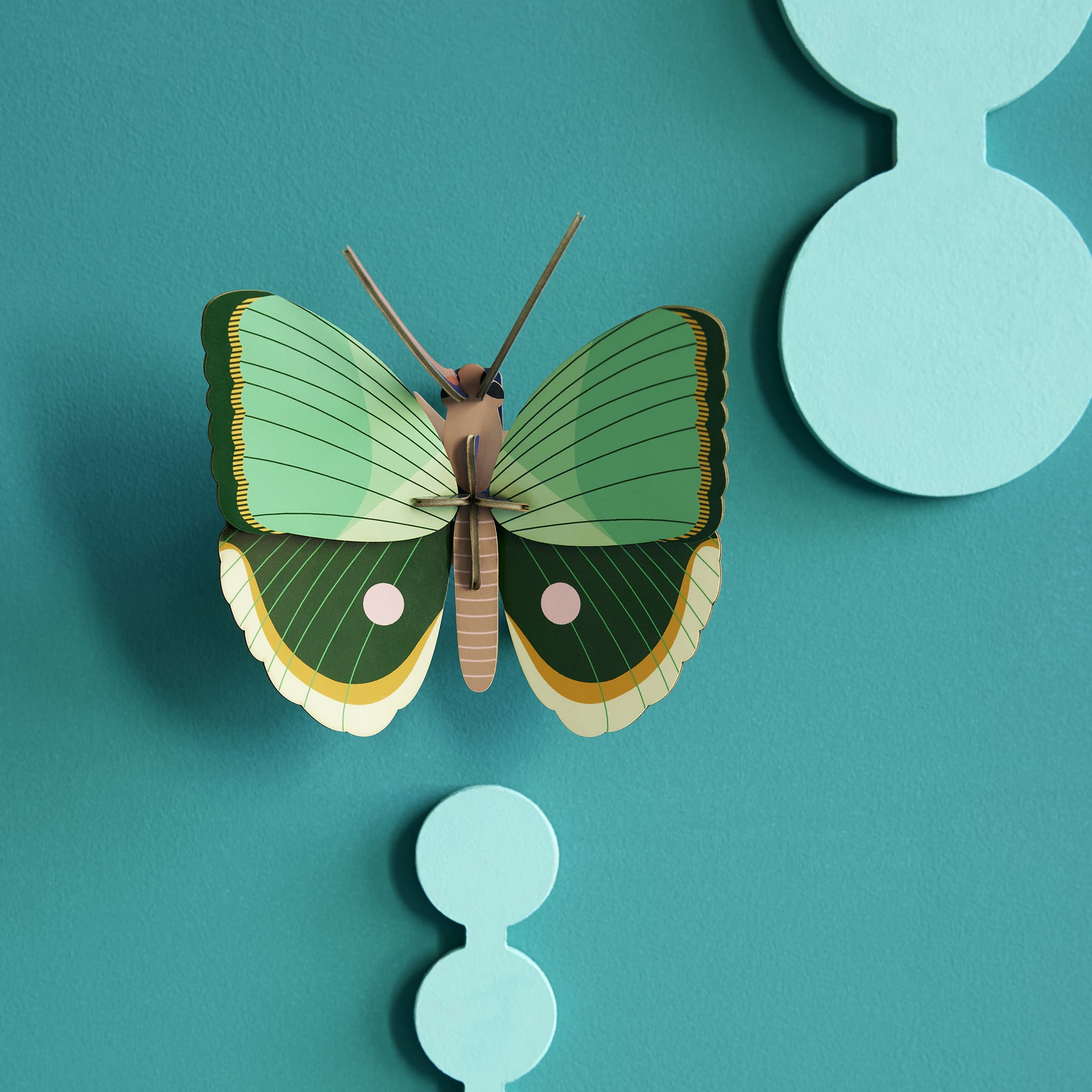 Fern Striped Butterfly