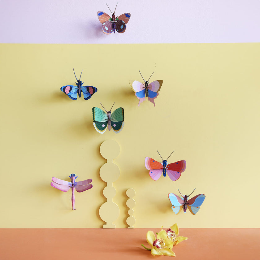 Fern Striped Butterfly