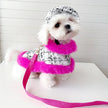 Ultra Violet Harness Set | Dog Harness Leash and Hat Set