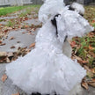 Garden Grace Dog Dress | Elegant Occasion Dog Dress