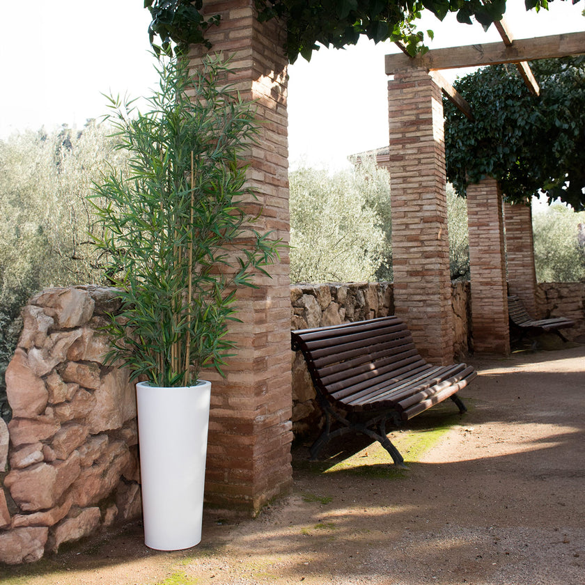 Ficus<br> Solar & Rechargeable