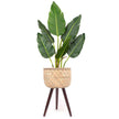 Flar Bamboo Planter On Wooden Stand