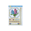 In Full Bloom - Floral Delights Deco-Large Set - Heavenly Hyacinth