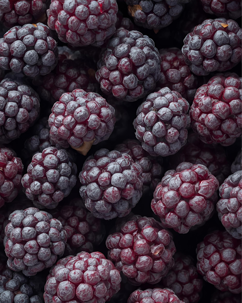 Freeze Dried Mulberry Bulk 1 KG