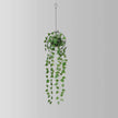 Frida Faux Potted Hanging Plant (4.2 Ft)