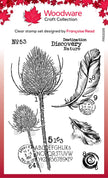 Woodware Clear Singles Discovery 4 in x 6 in Stamp Set