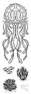 Woodware Clear Singles Jelly Fish 8 in x 2.6 in Stamp