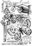 Woodware Clear Singles B is For Butterfly 4 in x 6 in Stamp