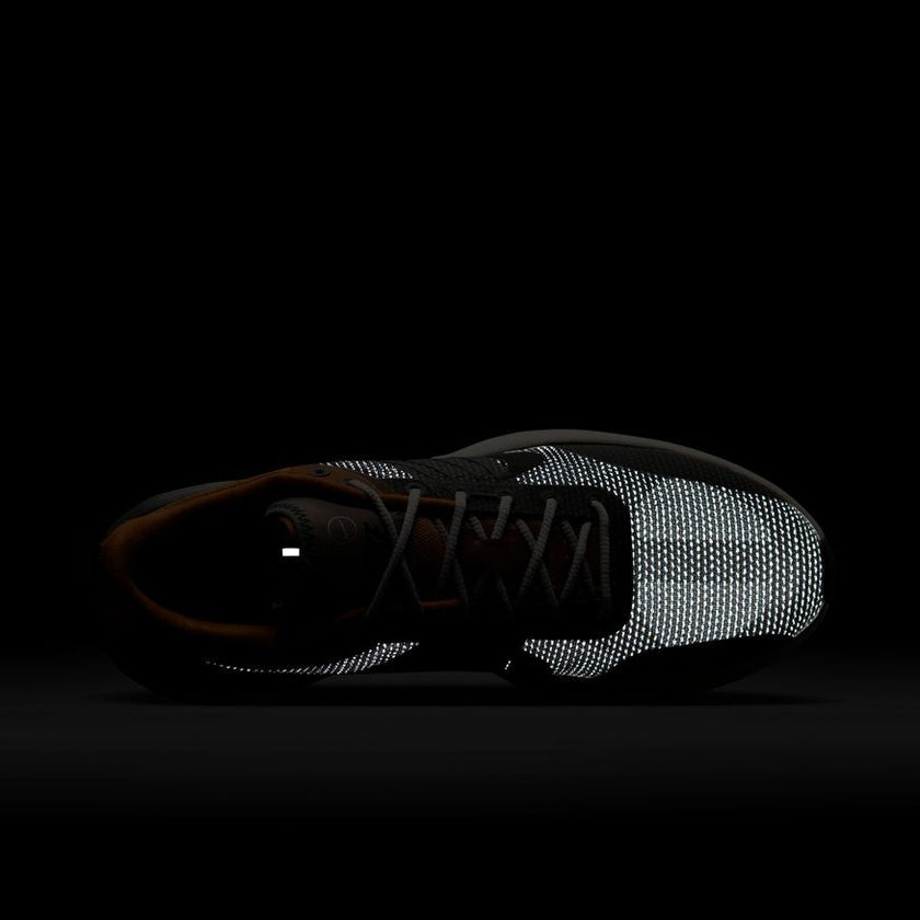 M Nike Lunar Roam SE FZ8116-200