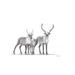 Caribou family Greeting Card
