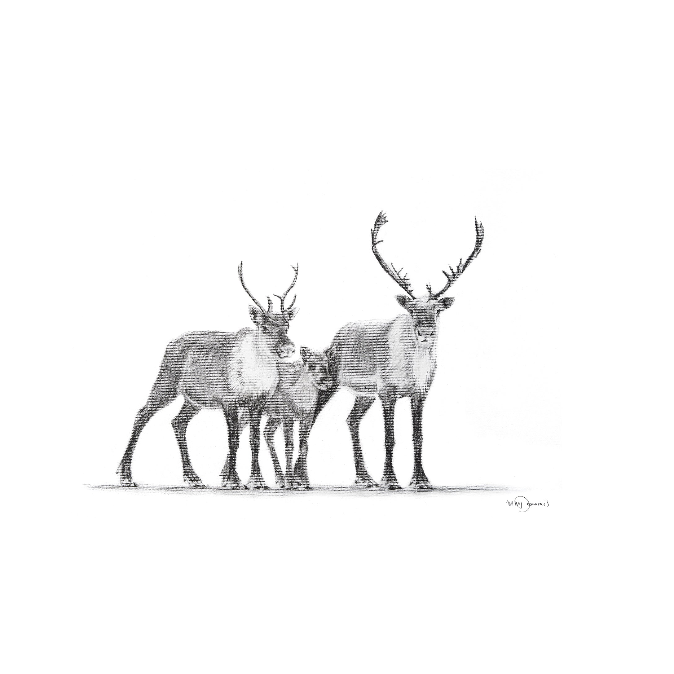 Caribou family Greeting Card