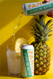 Fancy Sparkling Water – Pineapple | Tropical Sparkling Water