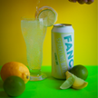 Fancy Sparkling Water – Mixed Case | Zero Sugar Sparkling Water