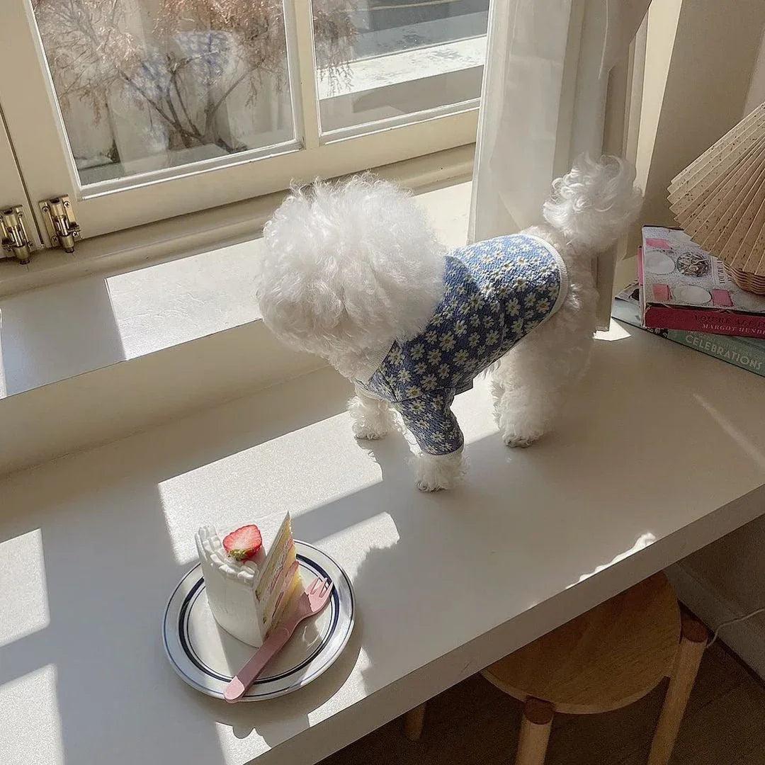 Fashion Cute And Simple Pet Dog Printing Clothes