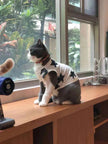 Fashionable Pet Cotton comfy Clothes
