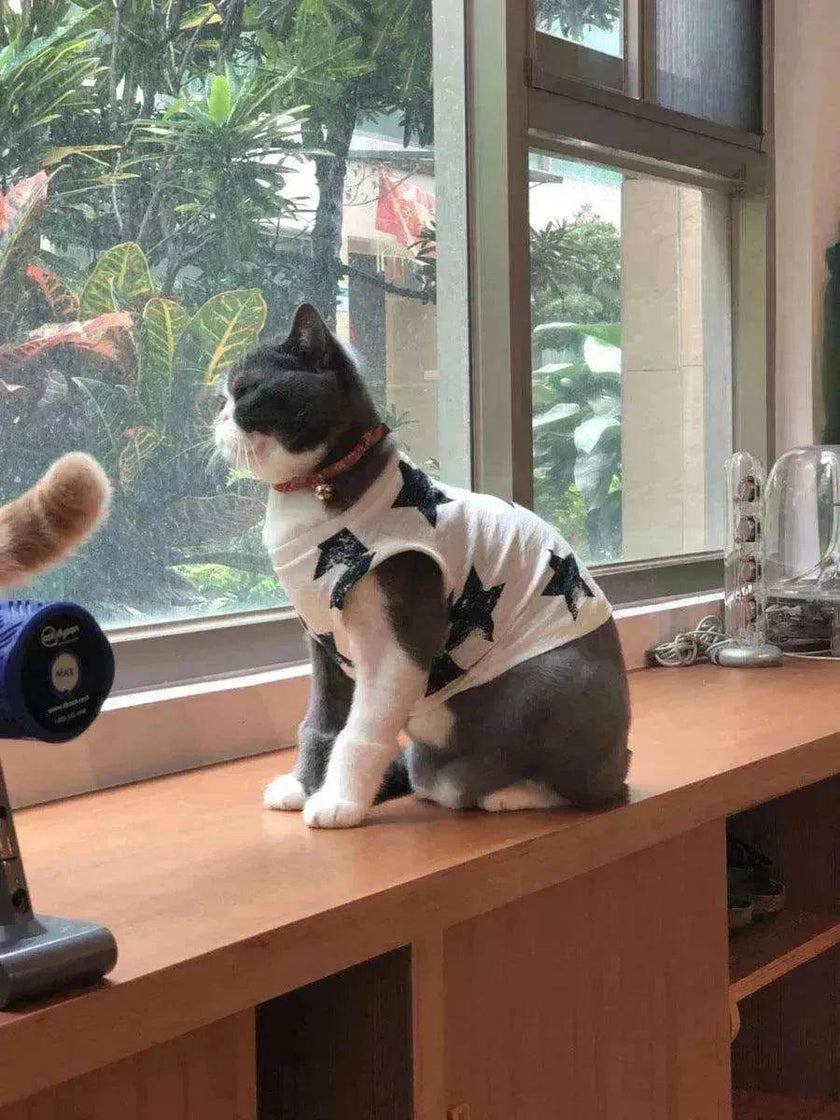 Fashionable Pet Cotton comfy Clothes