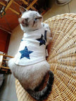 Fashionable Pet Cotton comfy Clothes