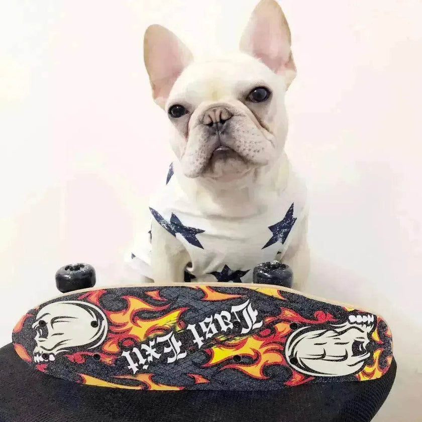 Fashionable Pet Cotton comfy Clothes