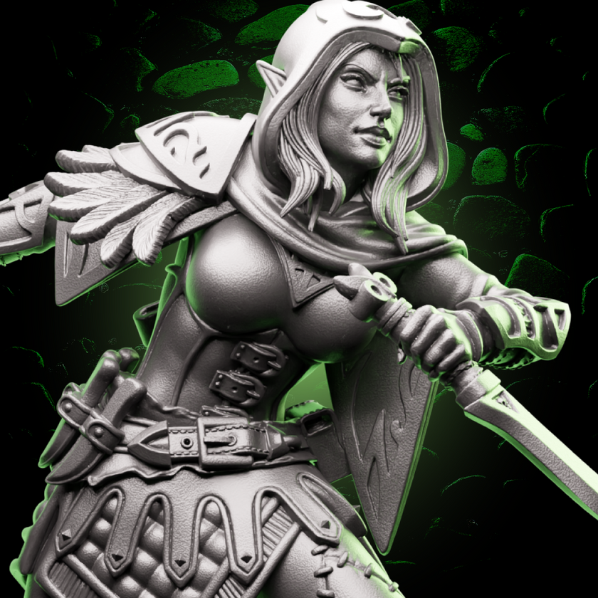 Elf Rogue | Daggers | 5e