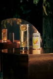 Fin Soda - Ginger Mule